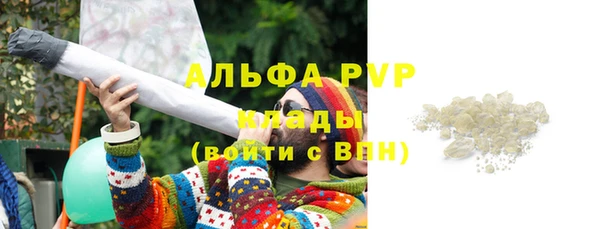 молекула духа Бородино