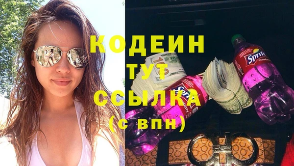 молекула духа Бородино