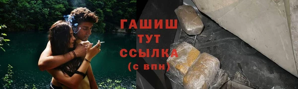 молекула духа Бородино