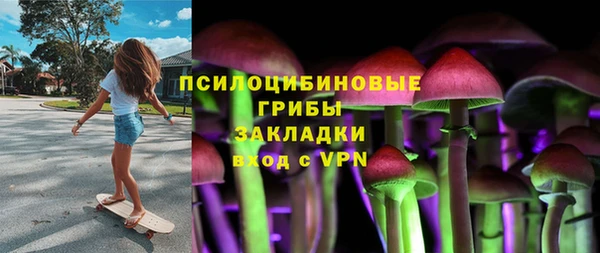 молекула духа Бородино